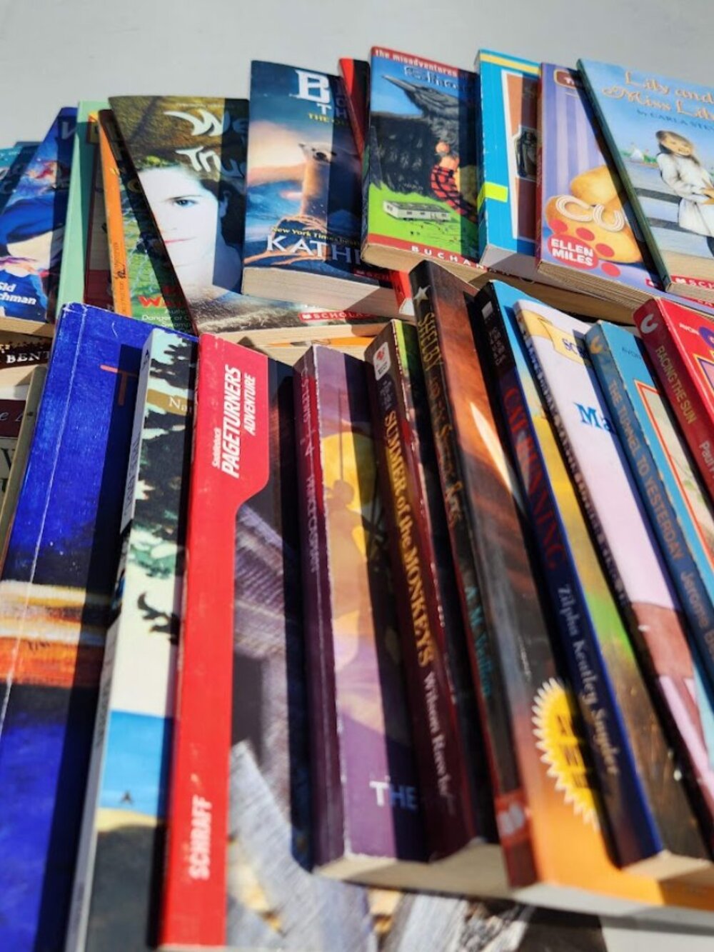 4 Book Bundle Lot Set Chapter Books Young Adult Literature Novels Mystery Books - Picture 6 of 16